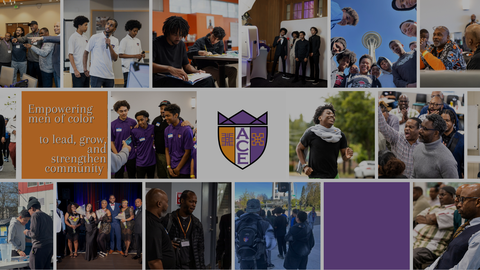ACE Website Banner.png