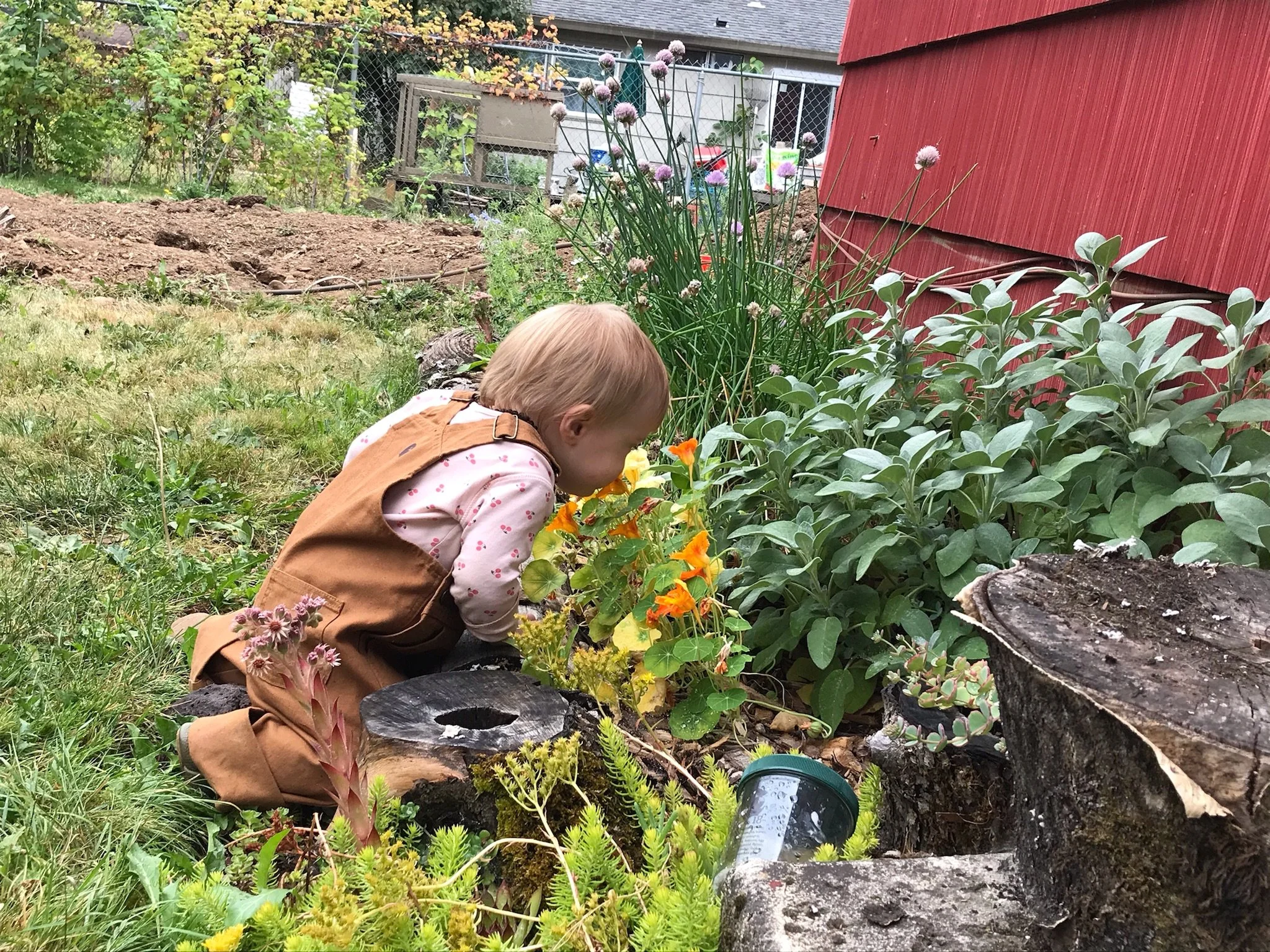 Calendar — Partum Gardens