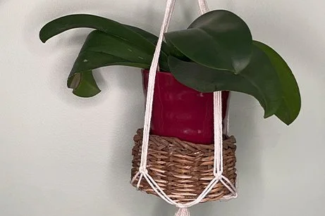Art in the Park: Macramé Plant Hanger