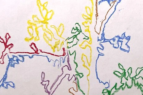 Art in the Park: Shadow Drawing with Chalk Pastels