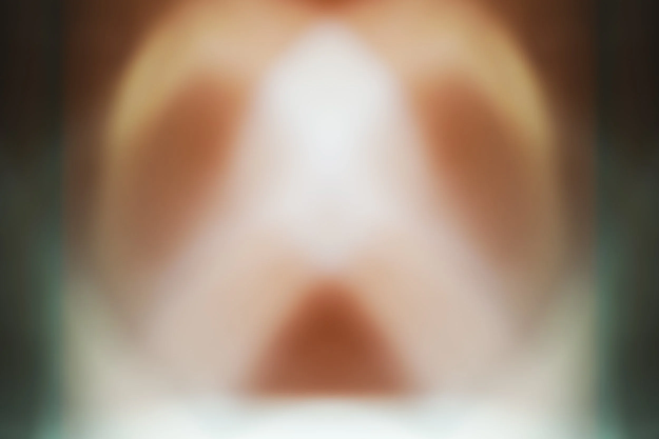 Digital Photo, 2026