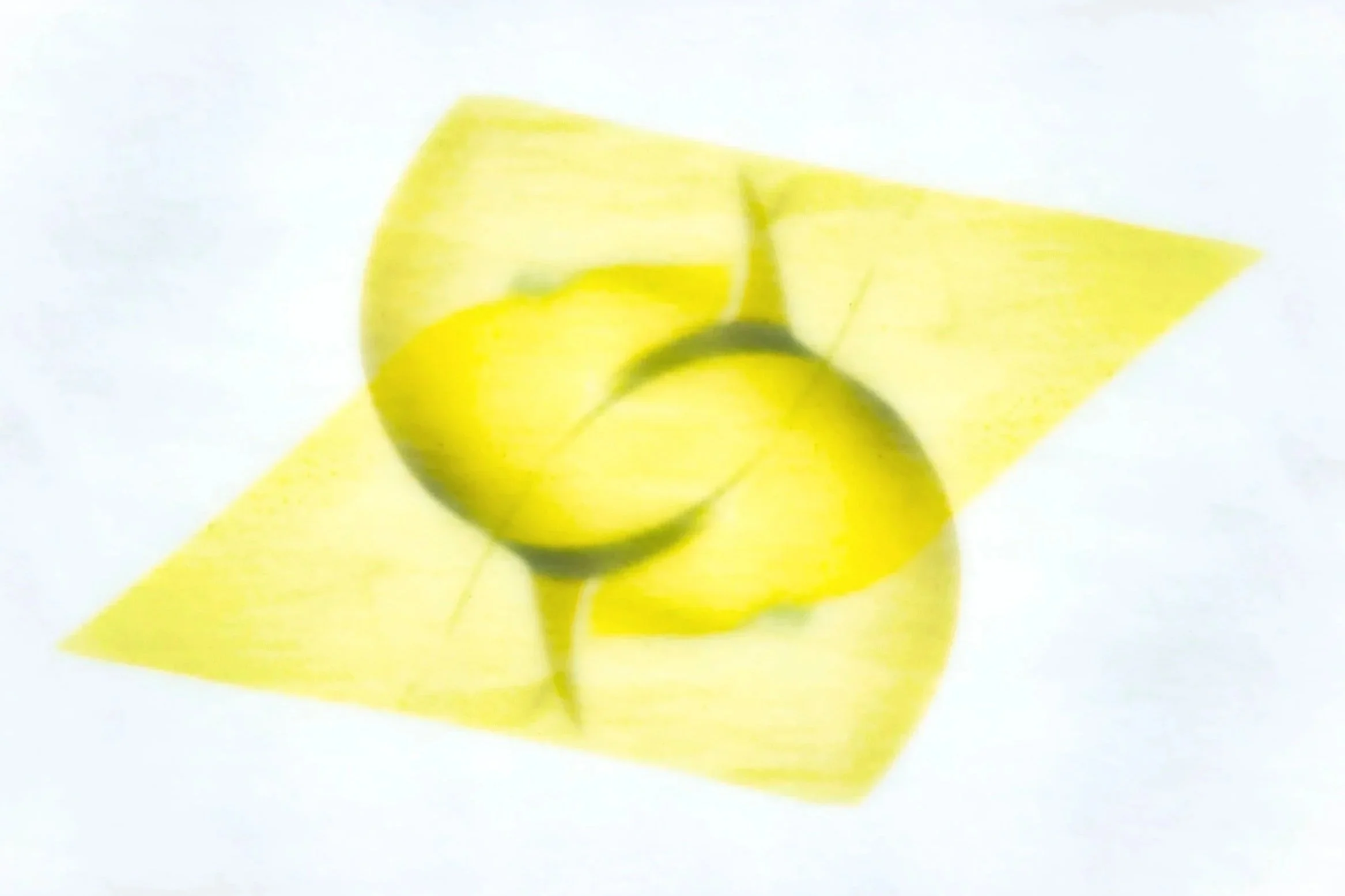 Sodt_YellowCellophaneJpegWeb.jpg