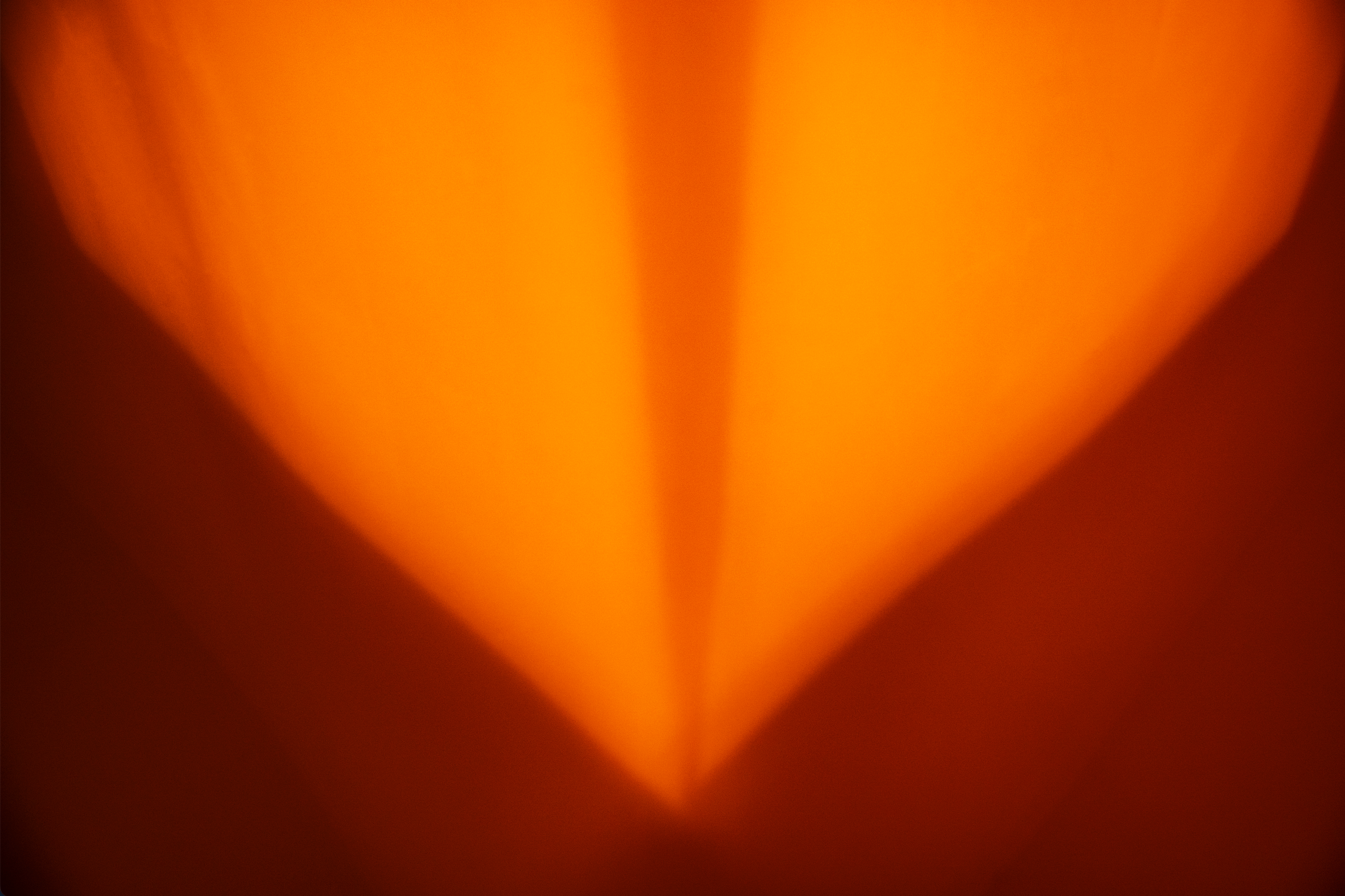 Untitled, Archival Pigment Print, 2026 /                      
13 x 19 in