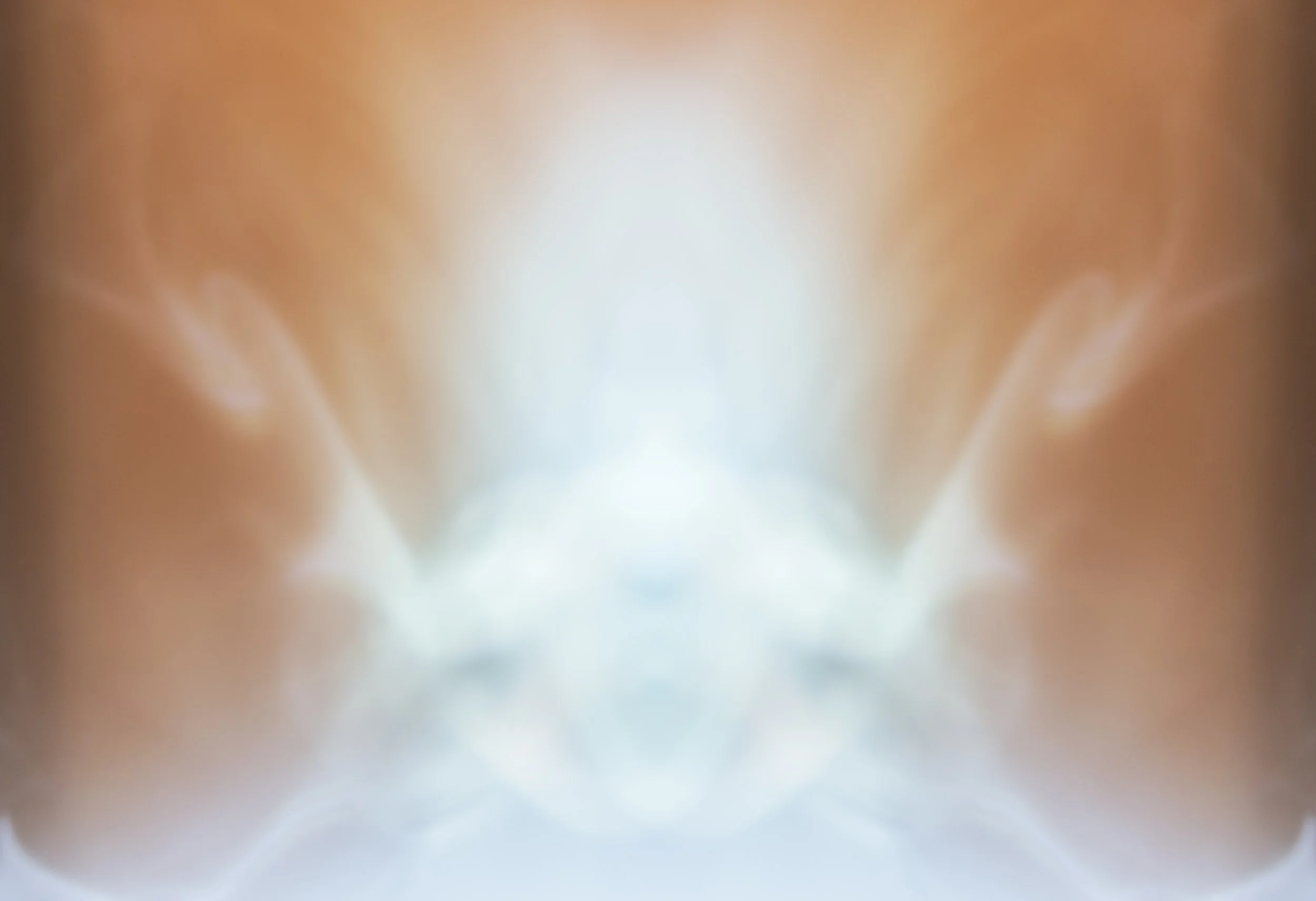 GateKeeper, Digital Photo, 2026