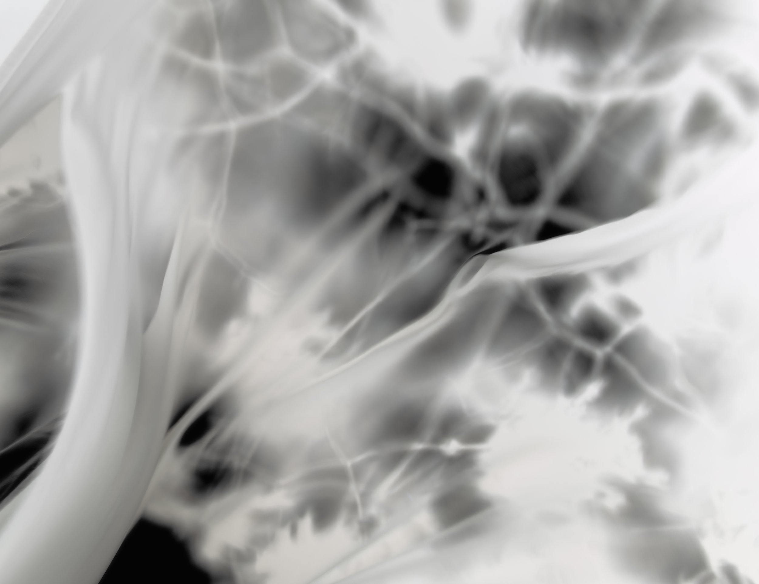 Landscape, 2026