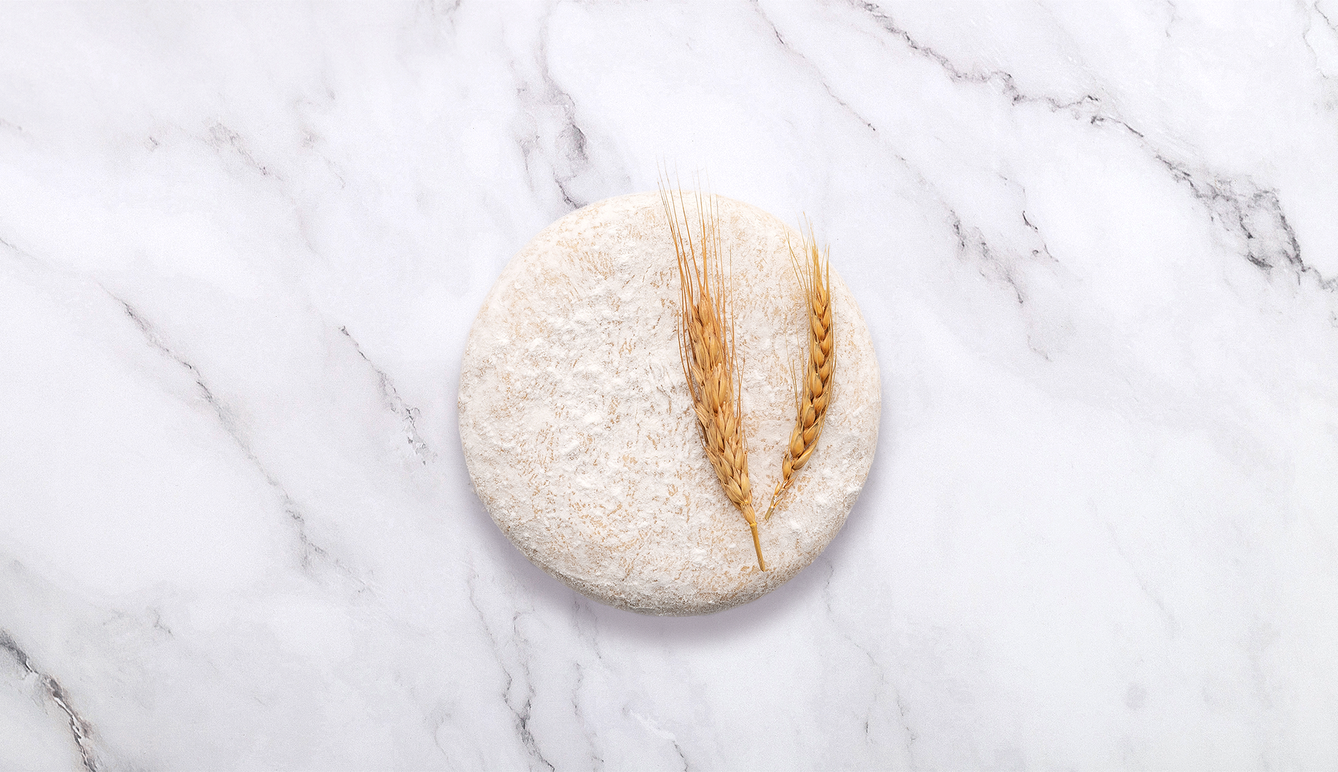 Pizza dough.png