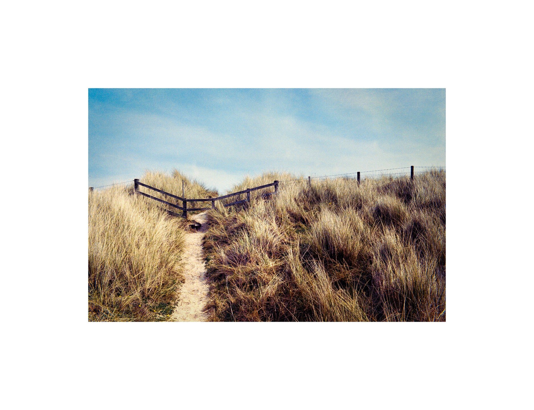 This fence. Again.
.
.
.
.
.
.
.
#Kodak #Portra #Portra400 #KodakPortra400 #filmphotography #film #35mm #filmisnotdead #staybrokeshootfilm #shotonfilm #filmcommunity #analog #analogphotography #analoguephotography #homeprocessedfilm #cresswell #druri