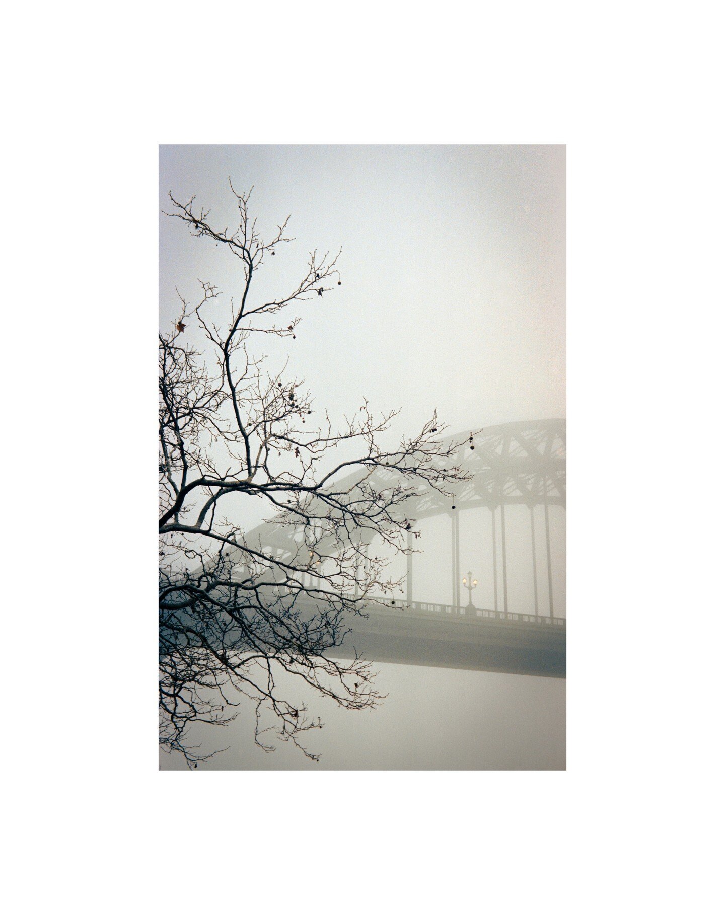 Tyne Bridge looking dreamy on Vision 250D.
.
.
.
.
.
.
.
#Kodak #KodakVision #KodakVision250D #filmphotography #film #35mm #filmisnotdead #staybrokeshootfilm #shotonfilm #analogue #filmcommunity #analog #analogphotography #analoguephotography #homepr