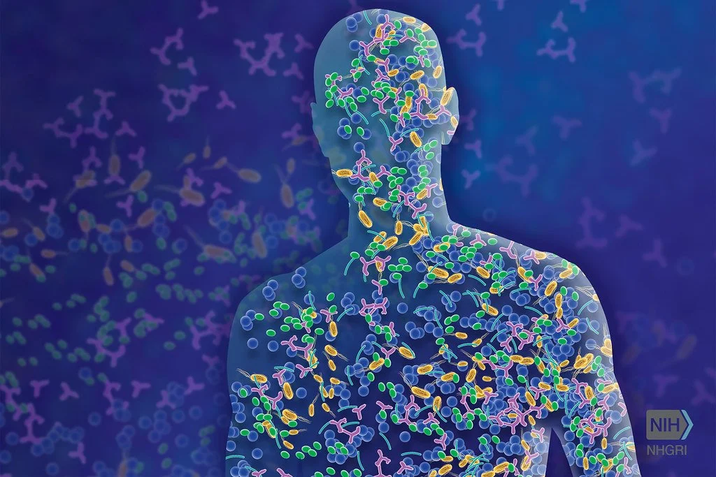 Skin Microbiome