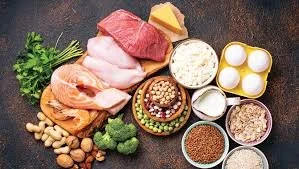 Animal vs Plant protein? Does it matter? 