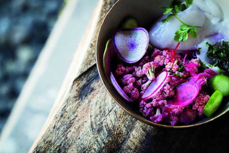 Balancing Macronutrients for Hormonal Health