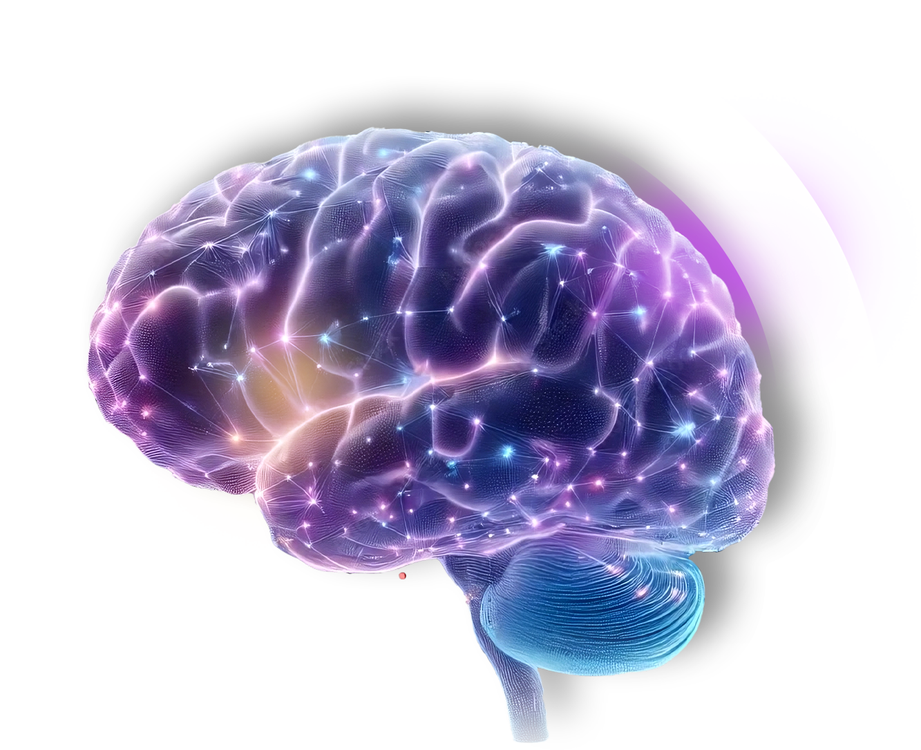 Nutrition and Neurocognition: How Food Can Support Brain Health and Cognitive Function