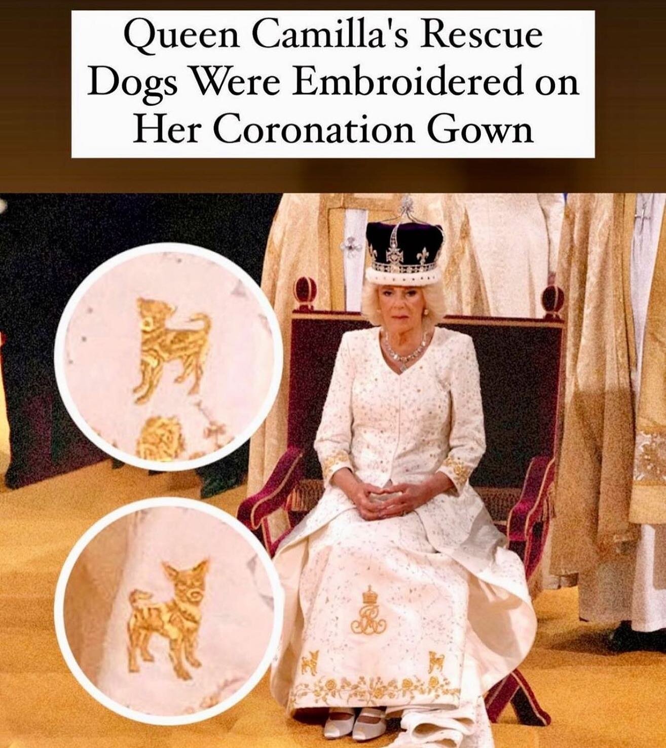 Love or hate her&hellip; brownie points were earned with this. Well played Camilla, well played. 🐶🐶👑

 #coronation #camilla #royalfamily #dogmom