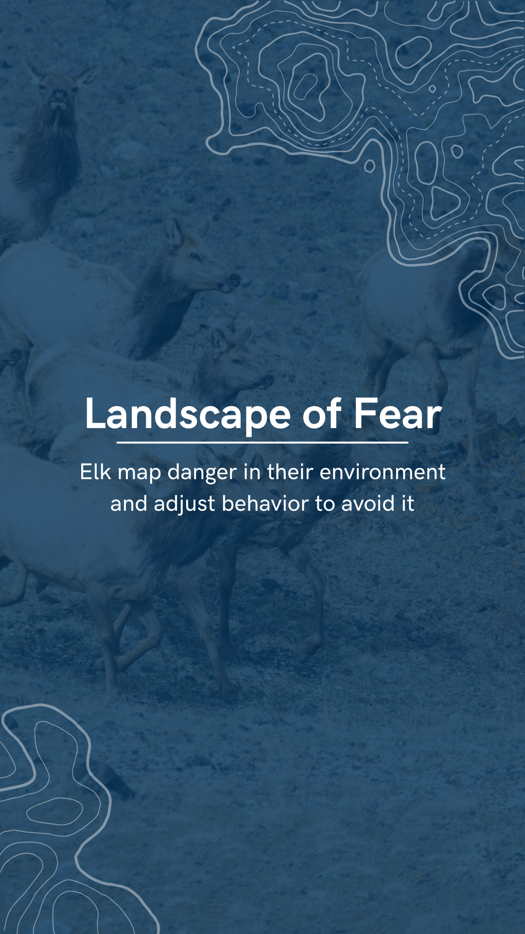 Reel File Footage (4).png