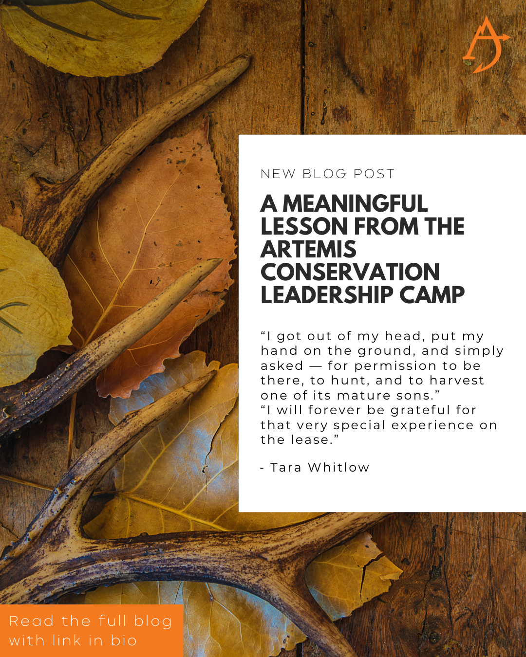 Tara Whitlow Artemis Blog.png