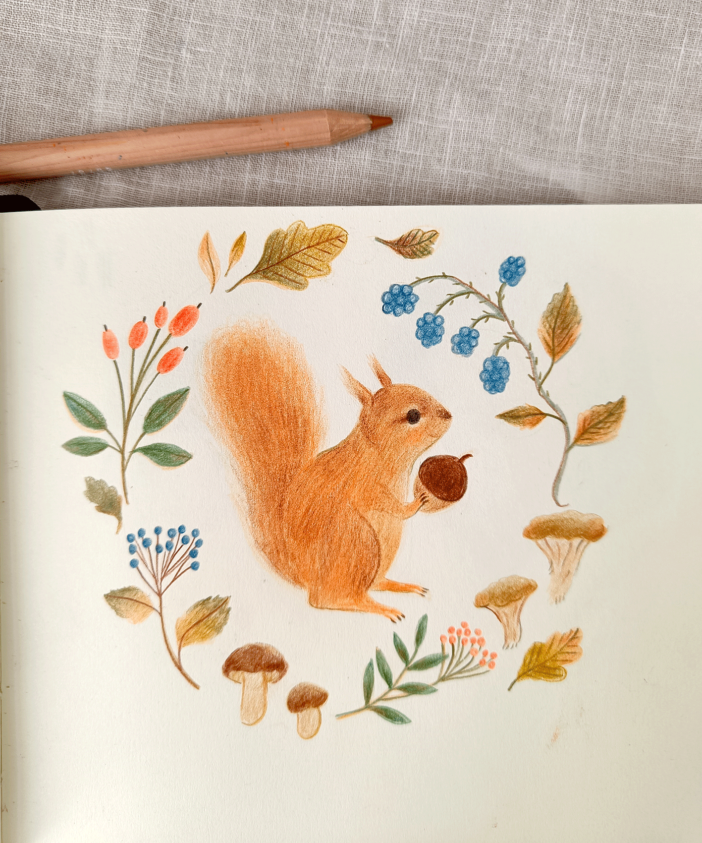 squirrel.gif