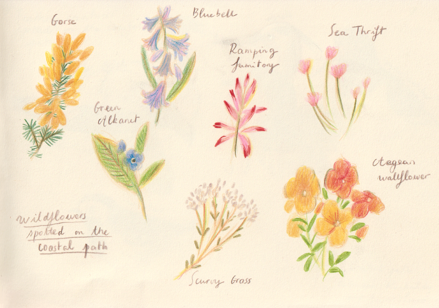 flowers.gif