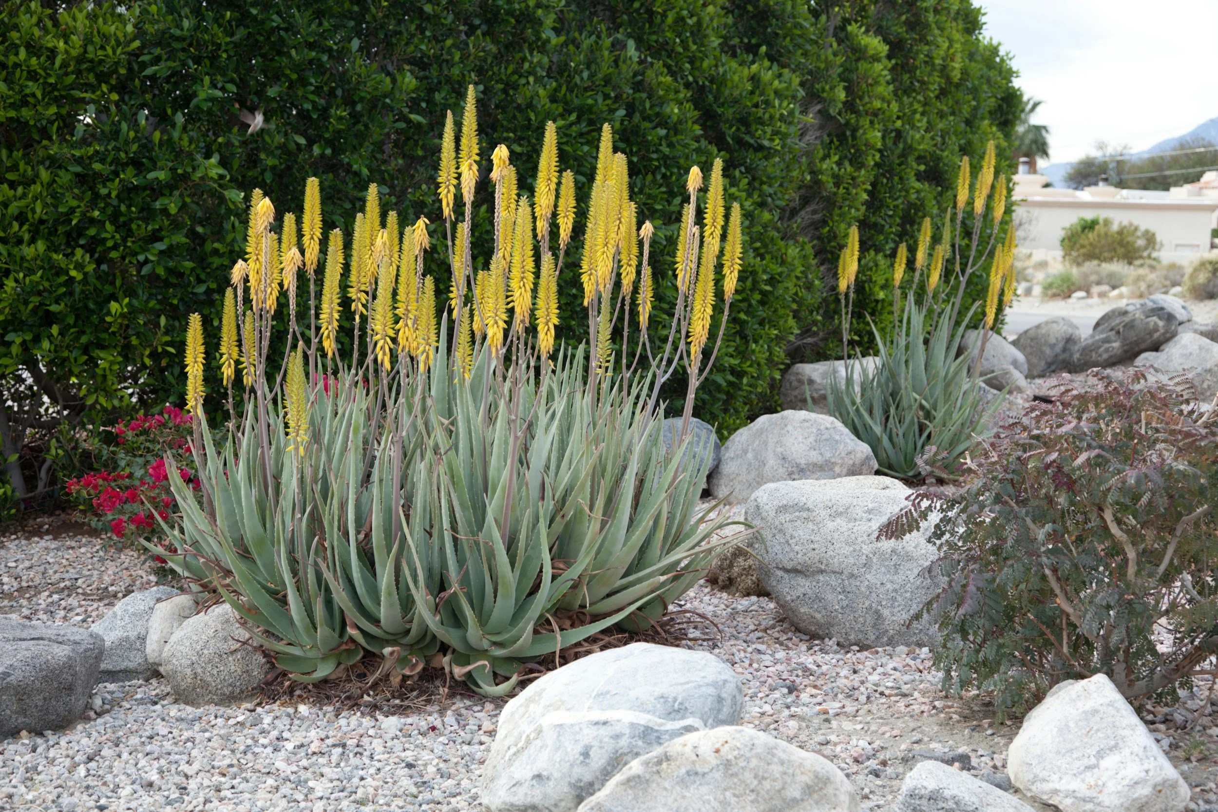 Outdoor Living Upgrades that ACTUALLY Add Value to Your Home