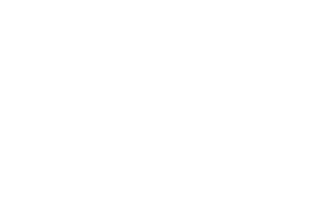 South Essex homes.png