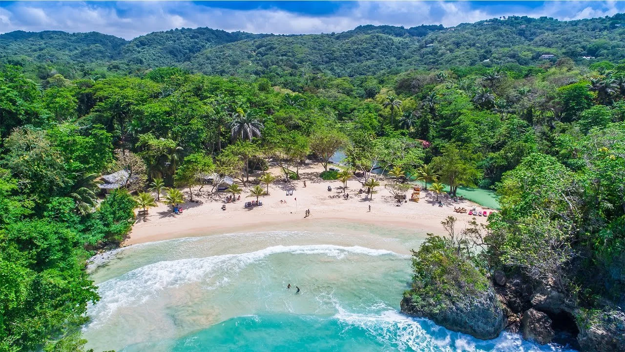 A tropical beach with white sand, surrounded by lush green trees and hills, with people swimming and relaxing.
