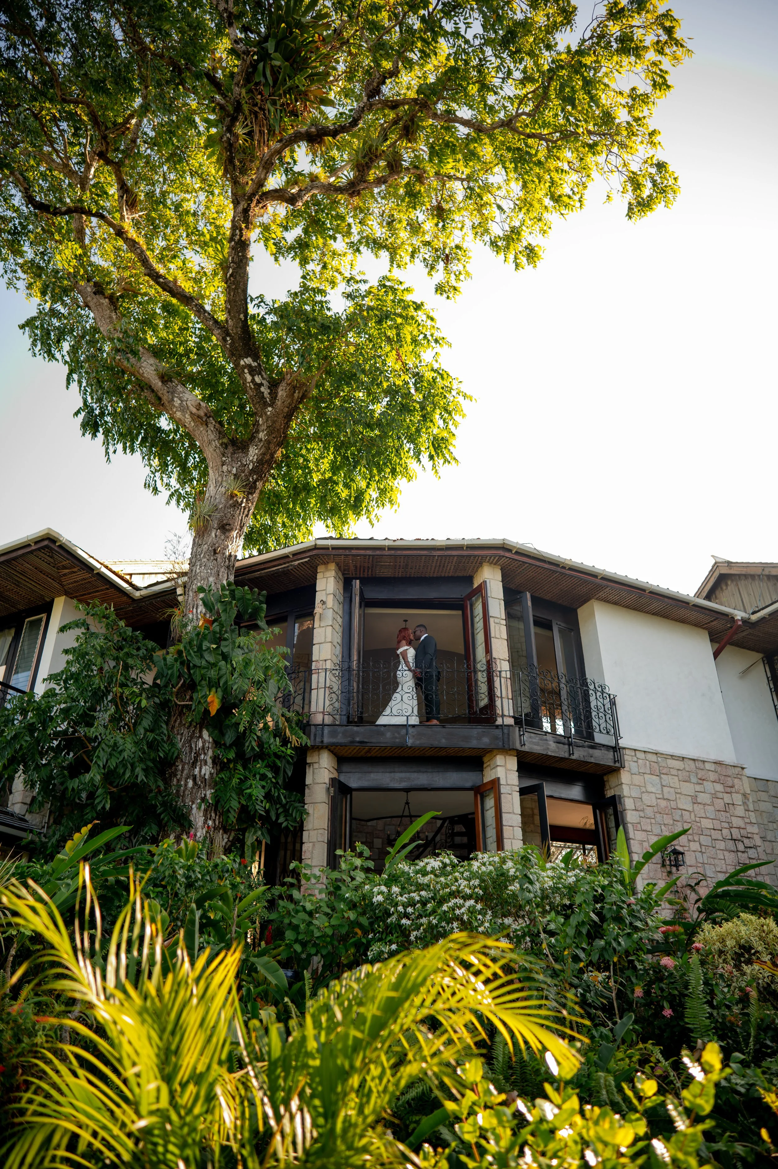 A tall tree with green leaves in front of a two-story house with a balcony and open glass doors. Two people are standing on the balcony, possibly a couple, surrounded by lush garden plants.