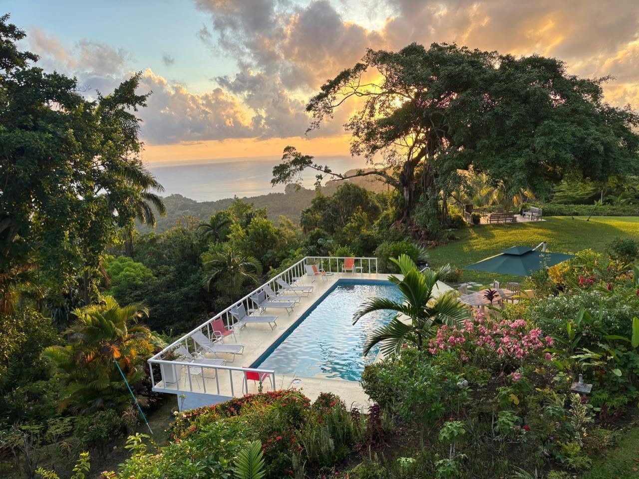 Private swimming pool in Port Antonio, Portland, Jamaica. Norse Hill Estate. 8 acres for weddings, retreats, and events.