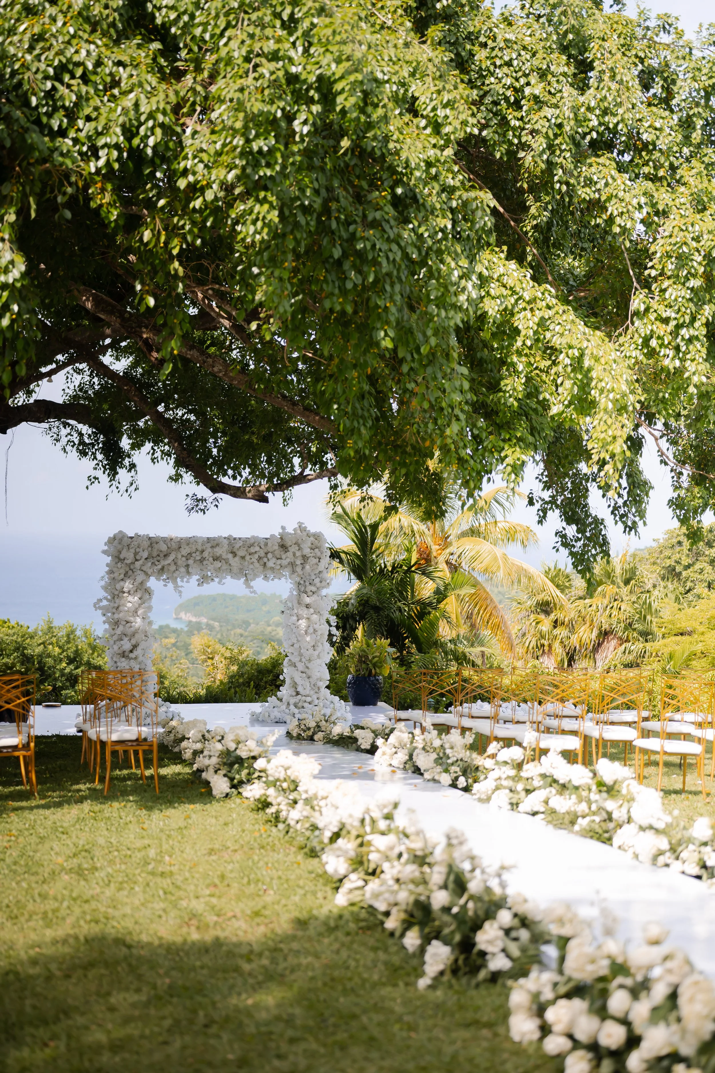 Outdoor wedding setup with a floral arch, white walkway, and gold chairs under a large tree with lush green foliage.