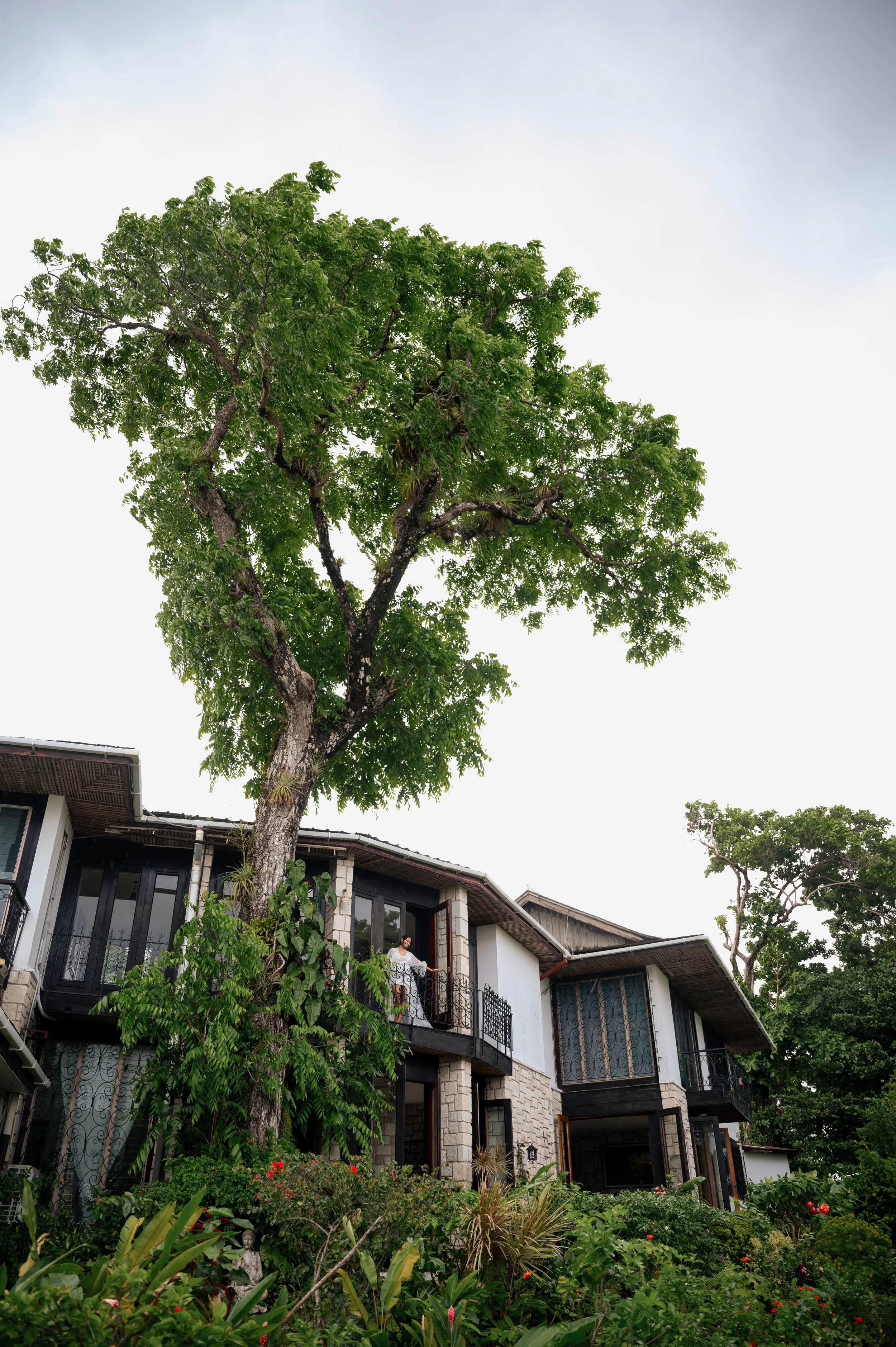 A view of a modern house with balconies and large windows, surrounded by lush greenery including a tall tree with dense green leaves, in a well-maintained garden with colorful flowers, under a partly cloudy sky.