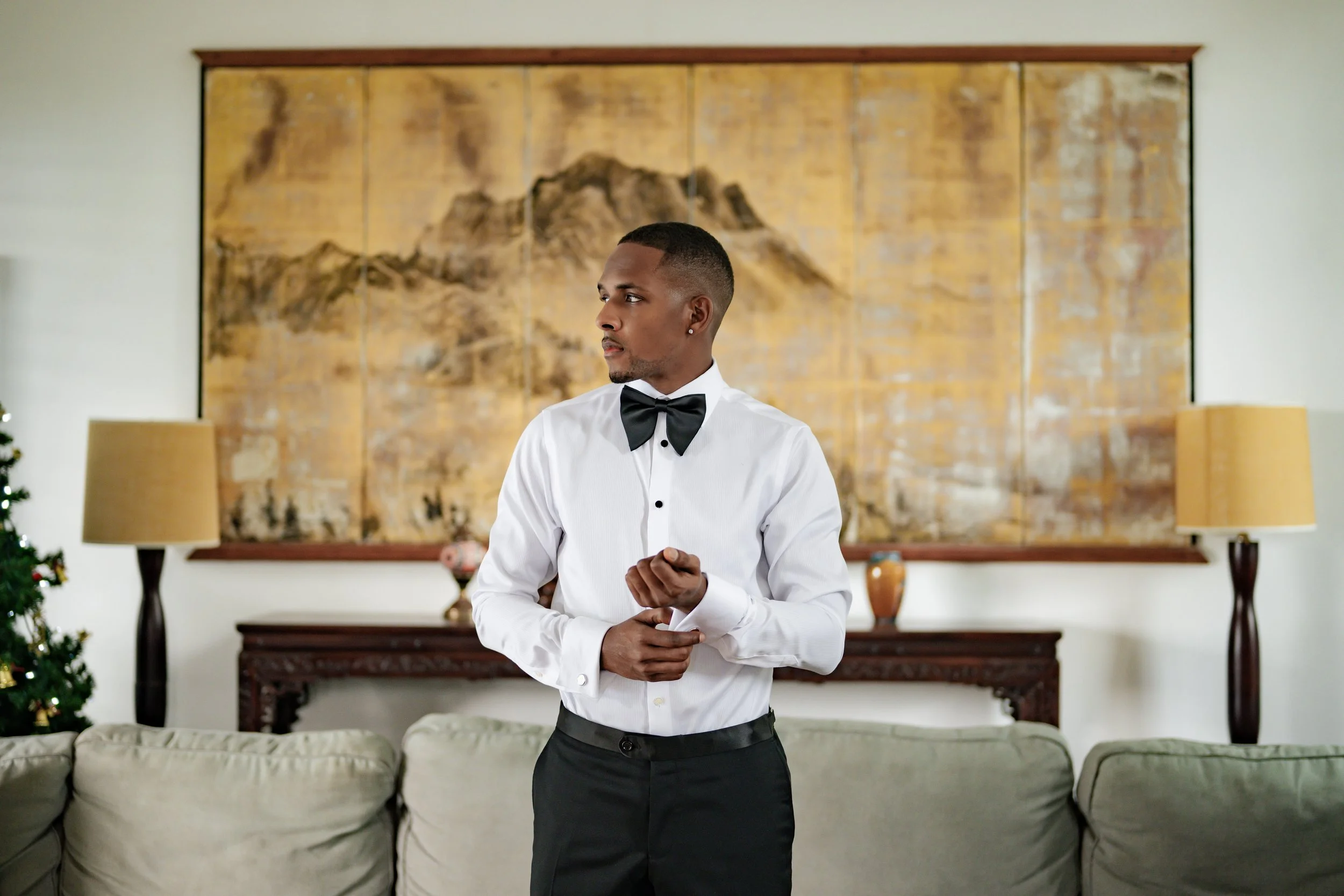 A man in a tuxedo with a bow tie standing in a living room with a large mountain-themed artwork on the wall behind him.