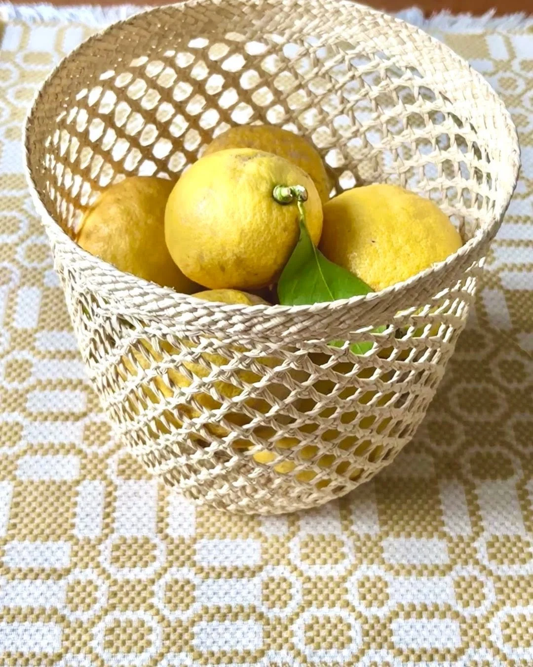 Les citrons pour le r&eacute;veillon tout juste cueillis chez ma voisine 🙏