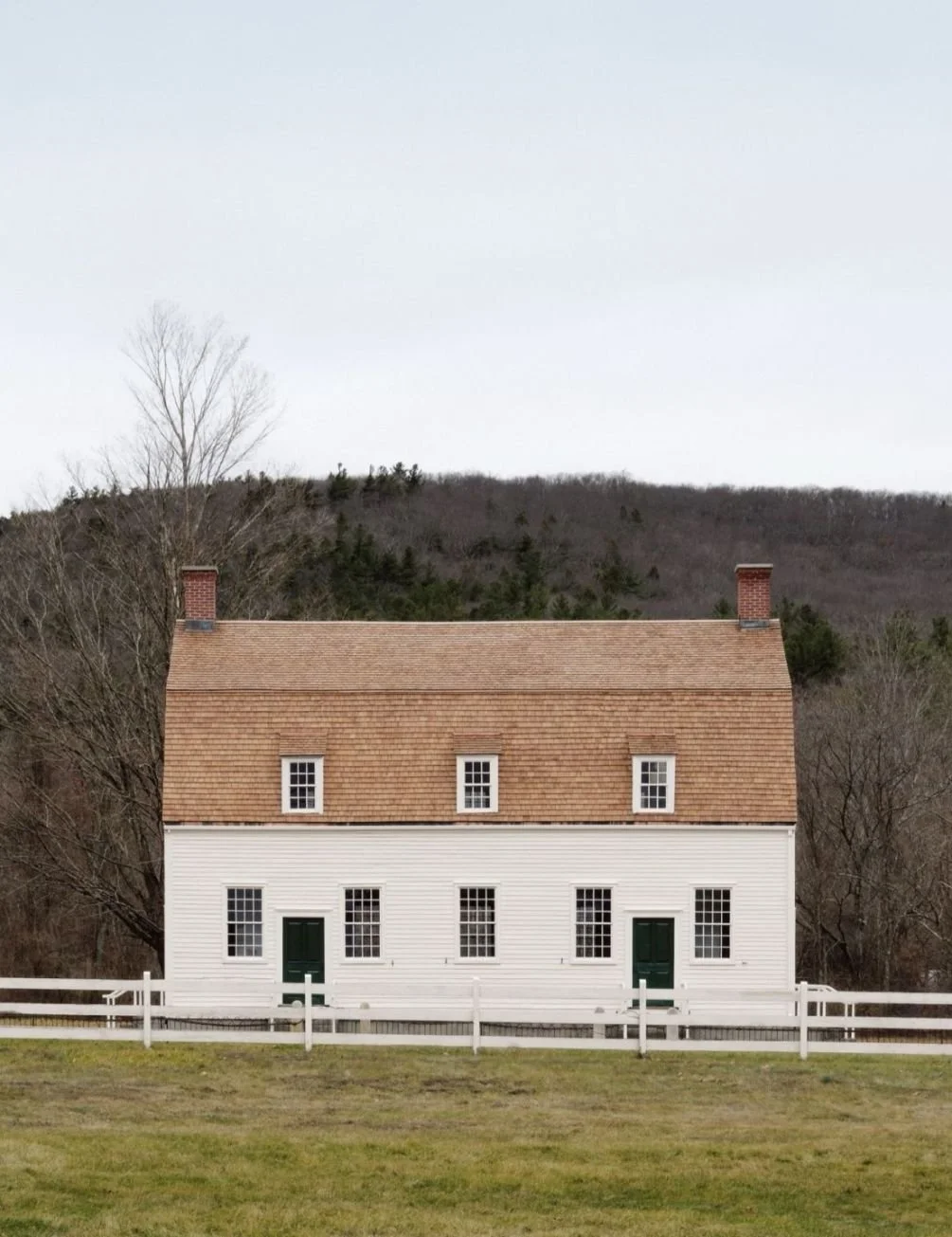 All about Shakers 👉👁 lien dans la bio