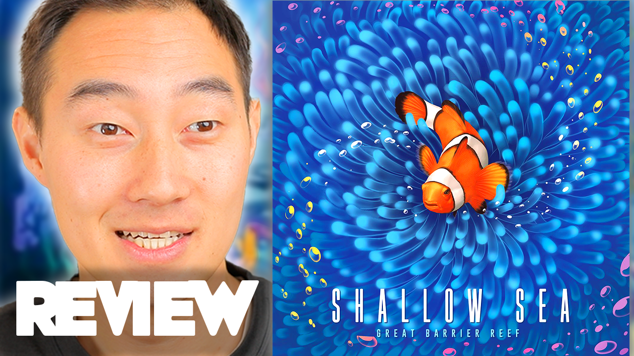 Shallow Sea Review