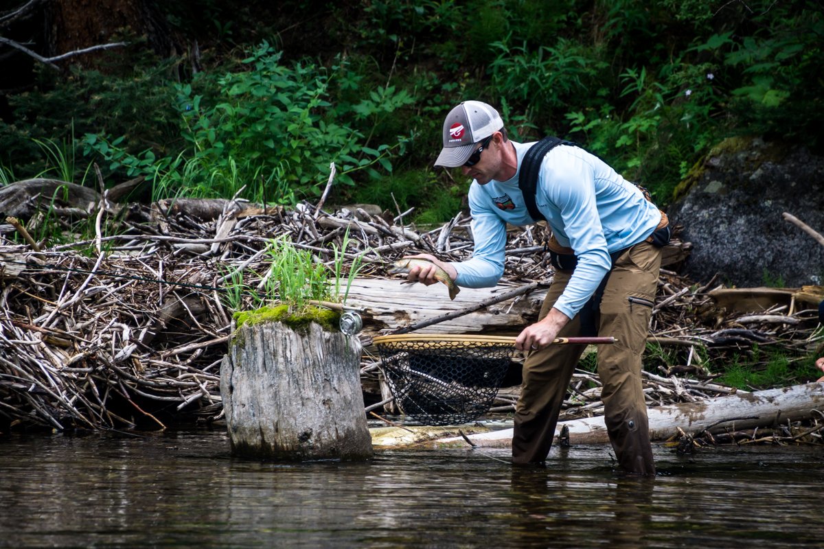 3 Tips for Fishing Streamers in Small Wilderness Waters — Budge's