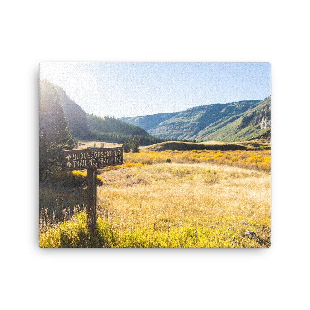 canvas-(in)-16x20-wall-63a0cc03caefd.jpg