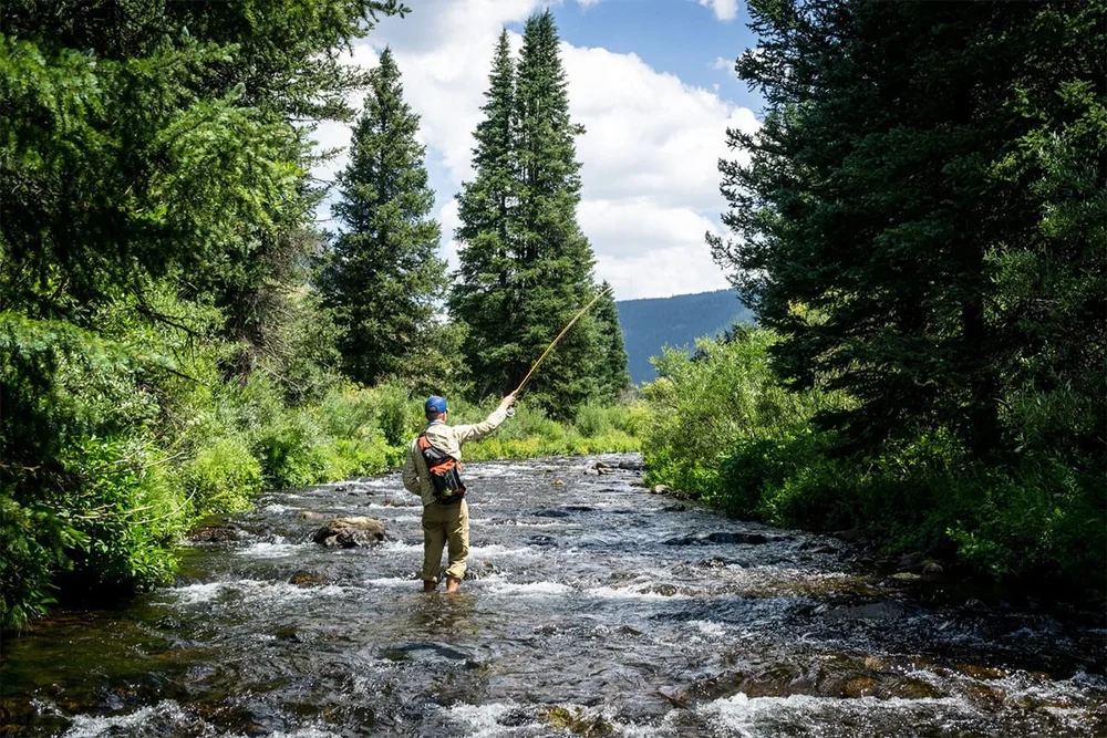 Colorado Fly Fishing Trips in the Flat Tops Wilderness Area — Budge's
