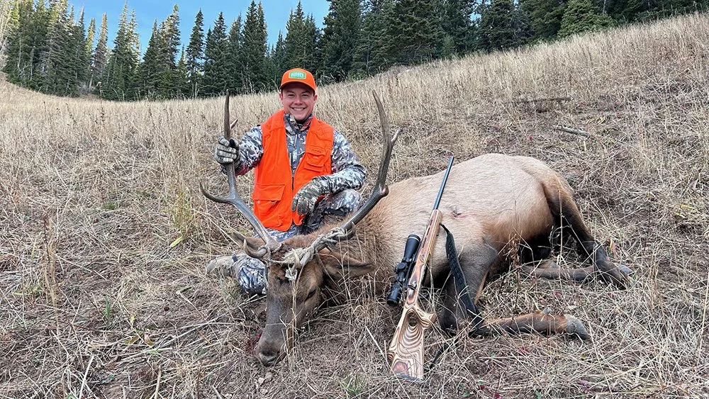 Hunt Elk in Colorado This Year — Budge's Wilderness Lodge