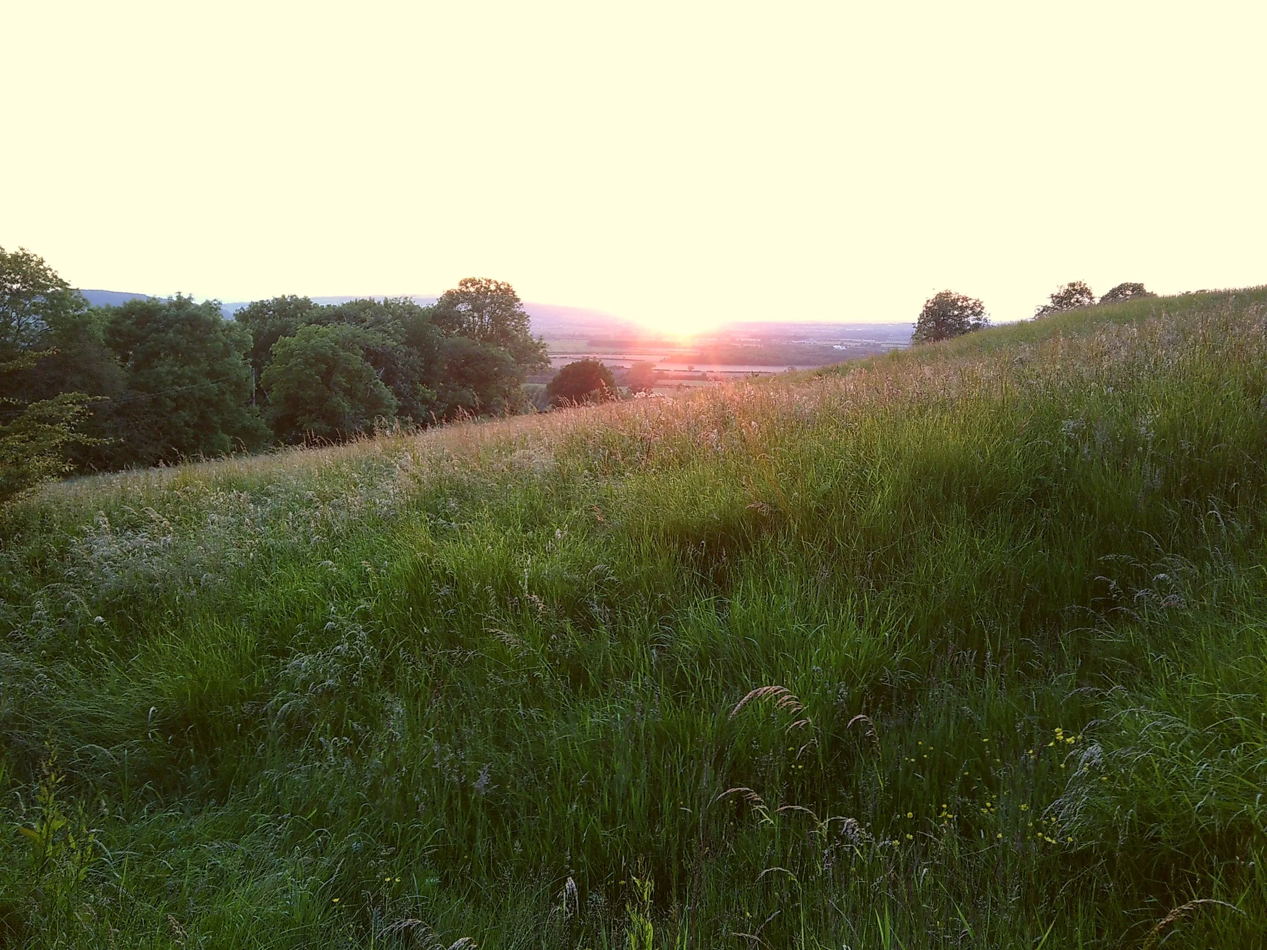 Sunset Day 1.jpg