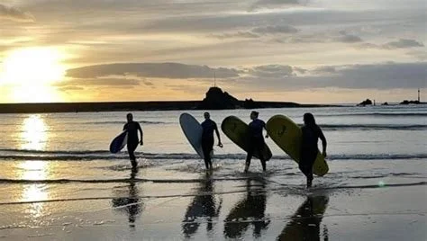 West Country Wilderness