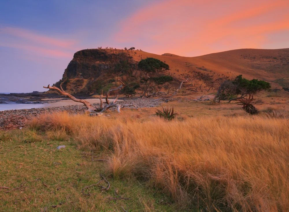 South African Adventure