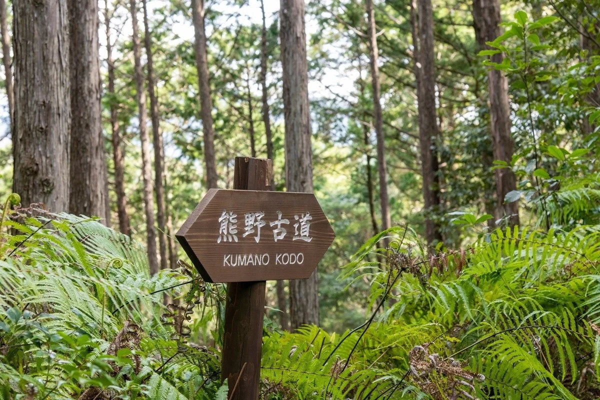 Japanese Cultural Exploration