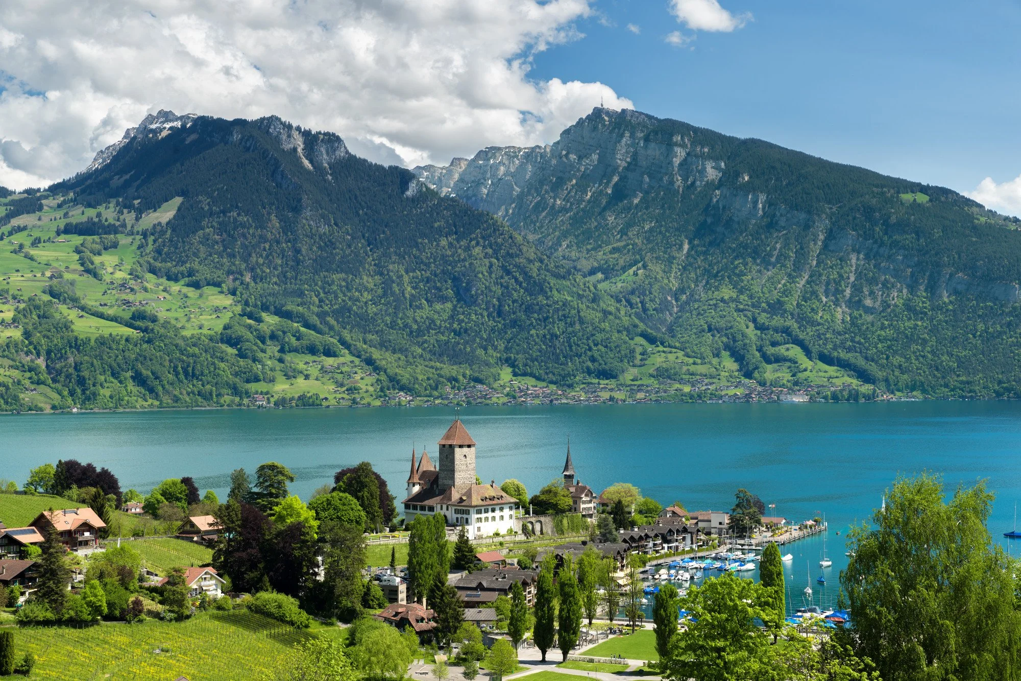 Swiss Mountain Serenity