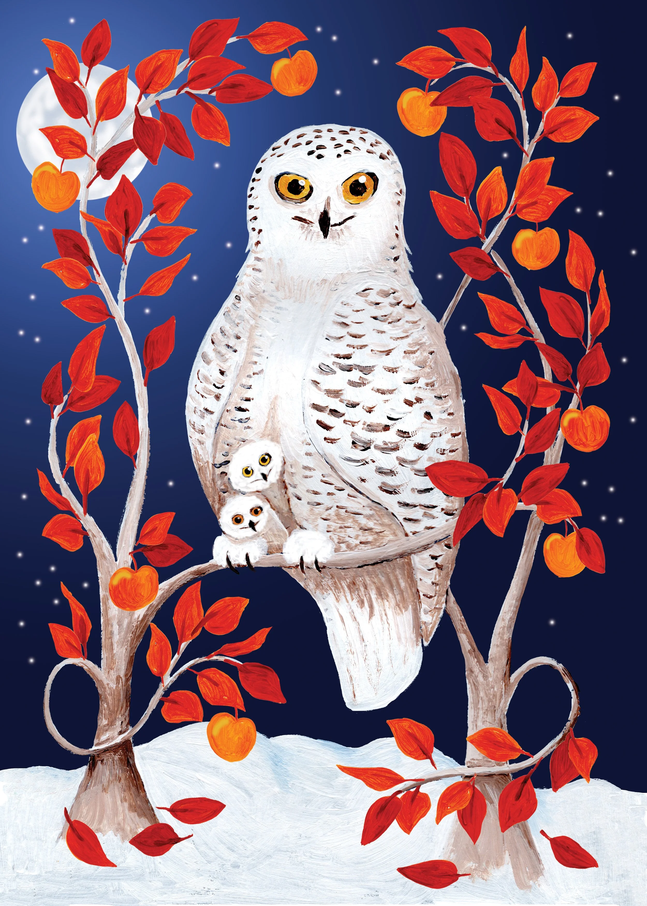Snowy Owl
