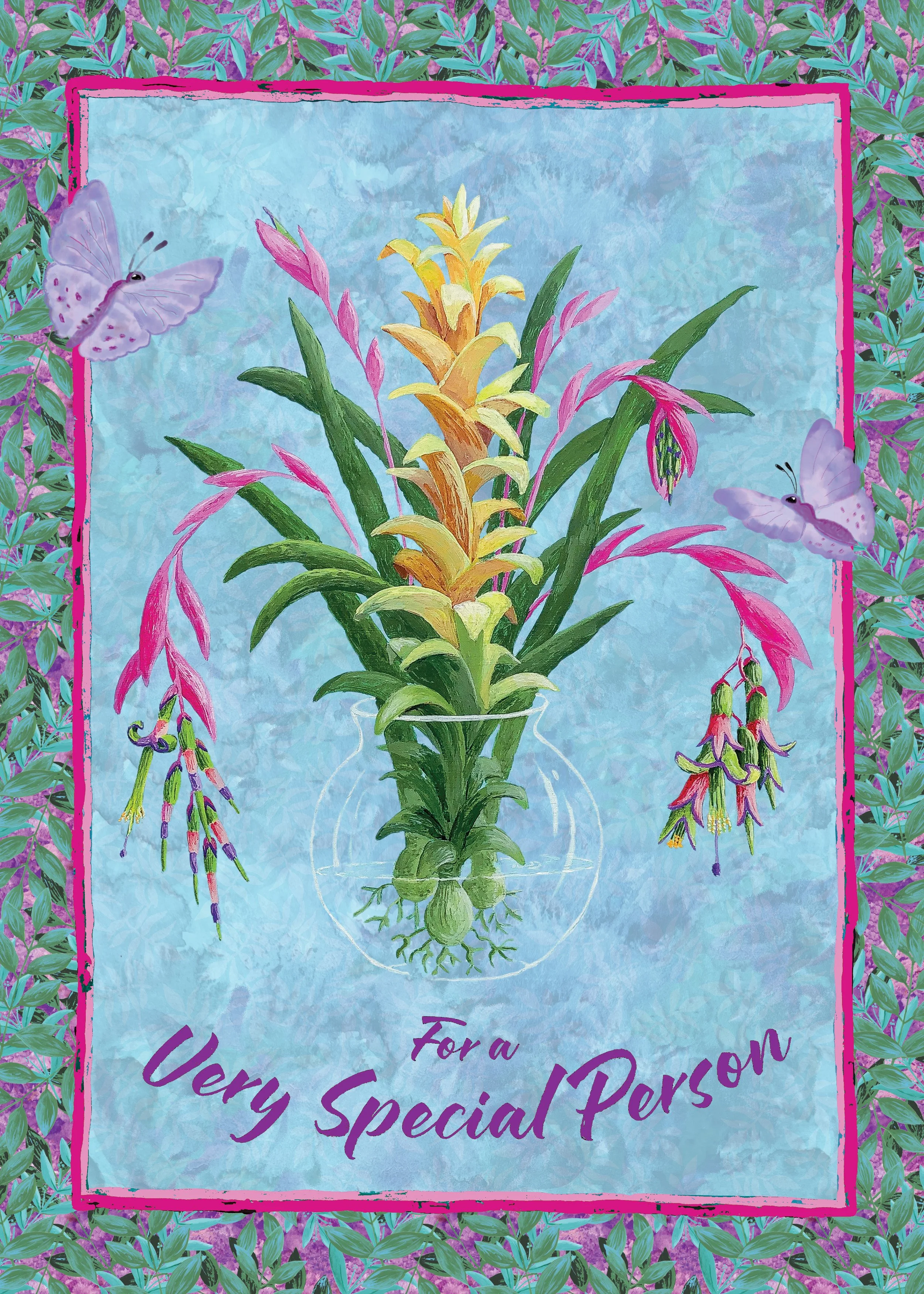Special Person Bromeliad