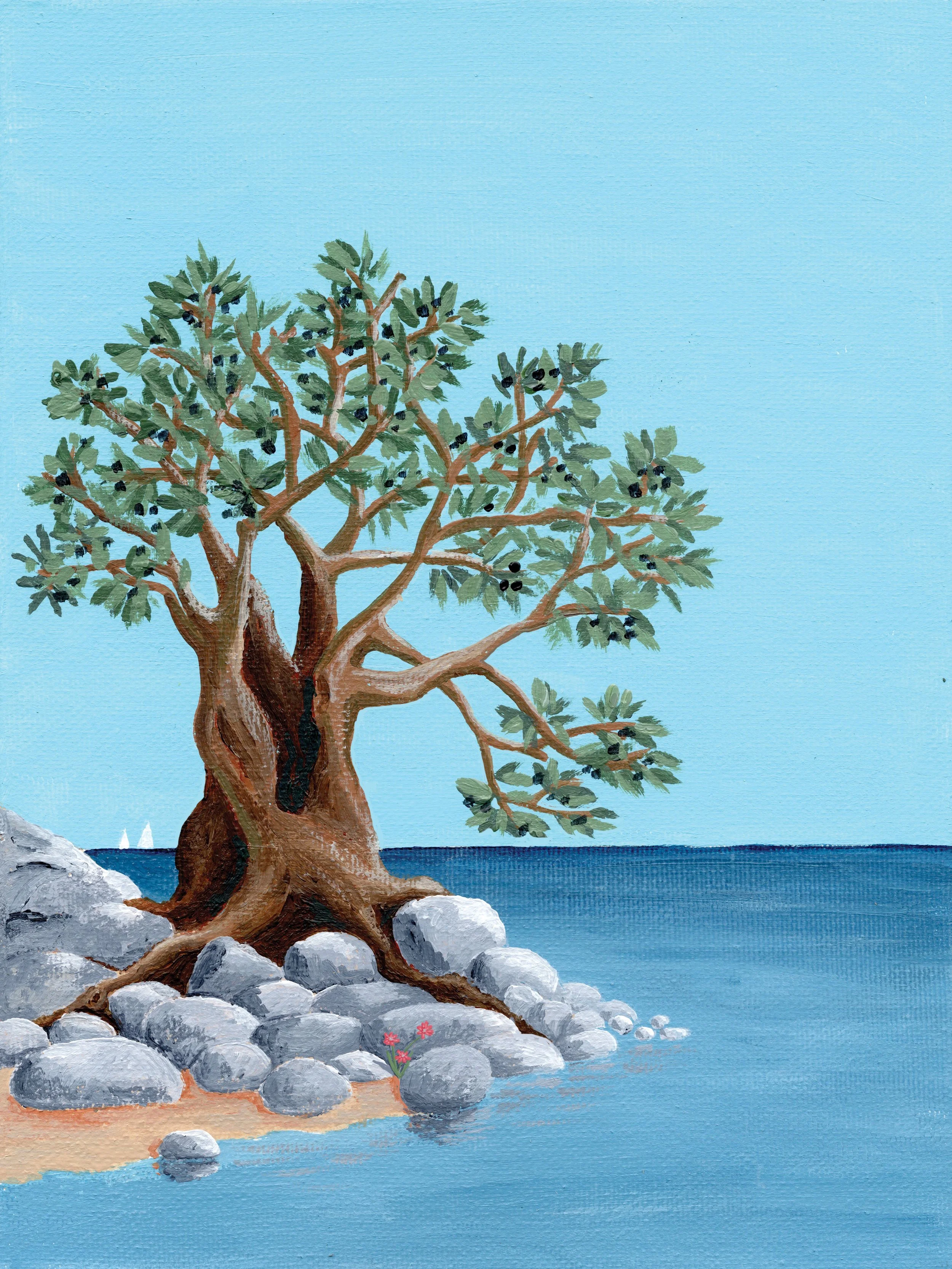 Ancient Olive