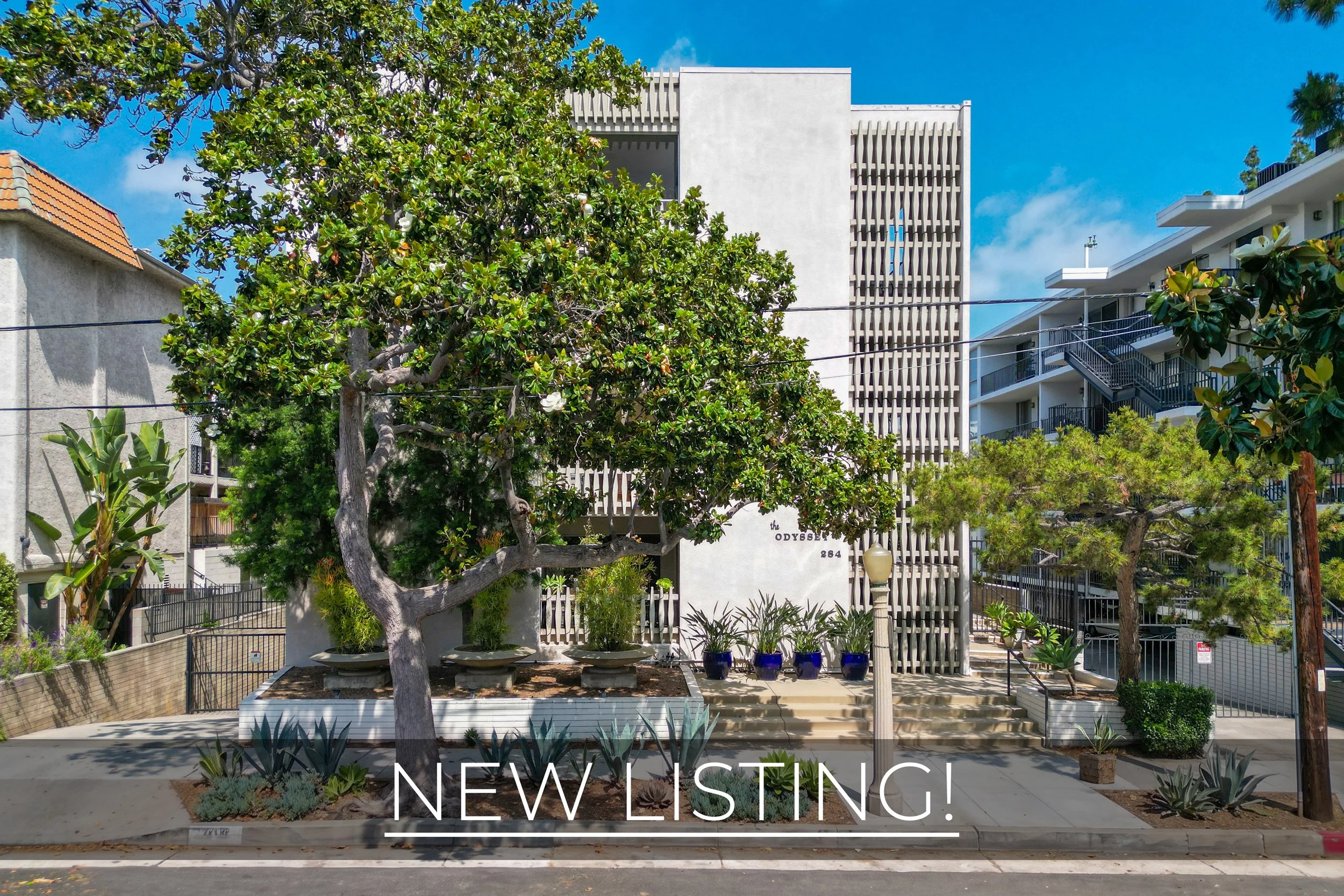 284 S. Madison Avenue #401 | Pasadena, 91101