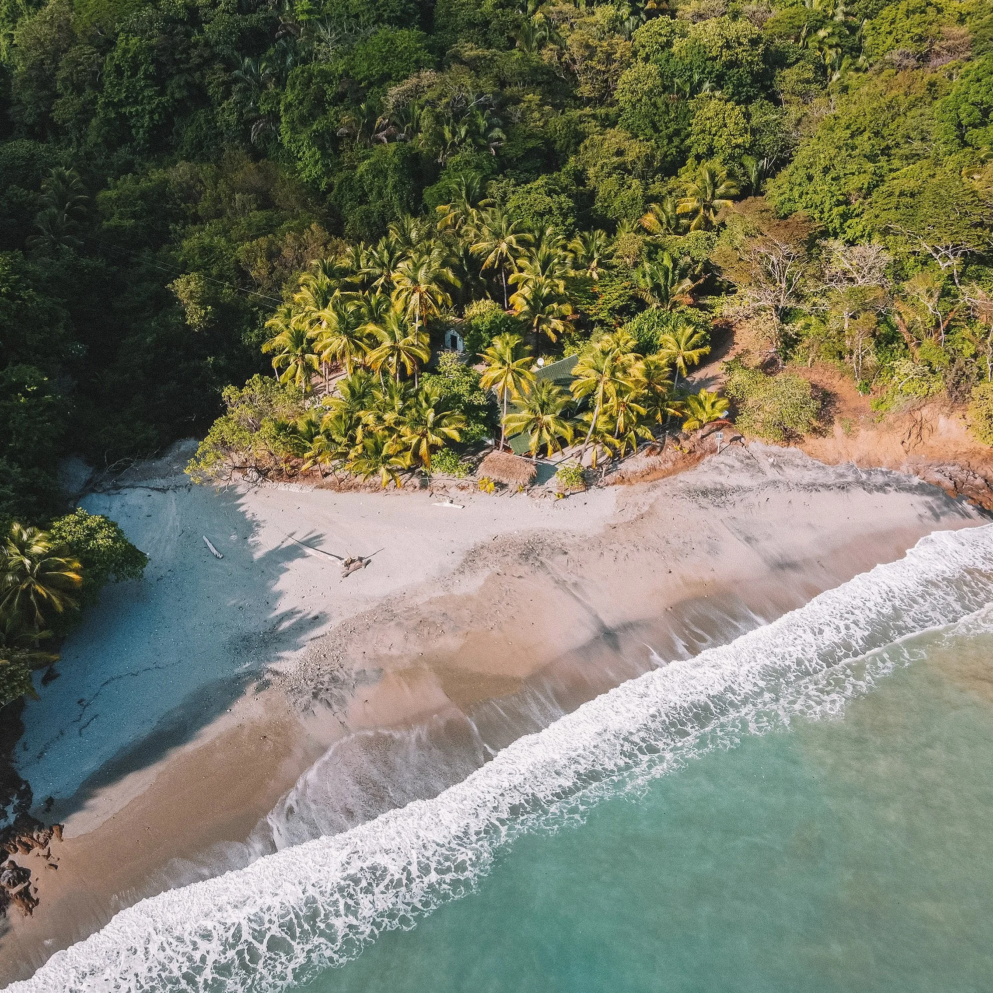 Aerial view of a tropical beach with palm trees and a small building, with waves crashing onto the sandy shore and a dense green forest behind it.
