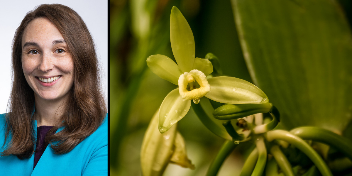 USBG Expert Is In: Vanilla