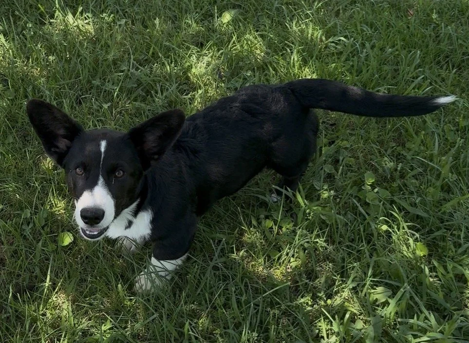Male 1