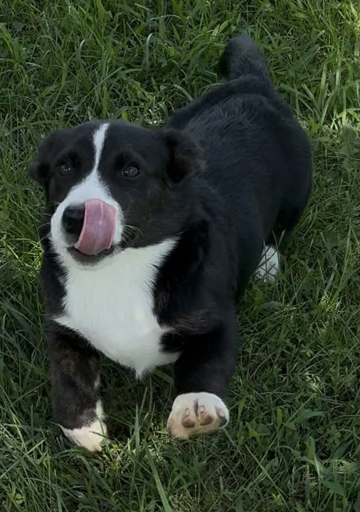 Male 2