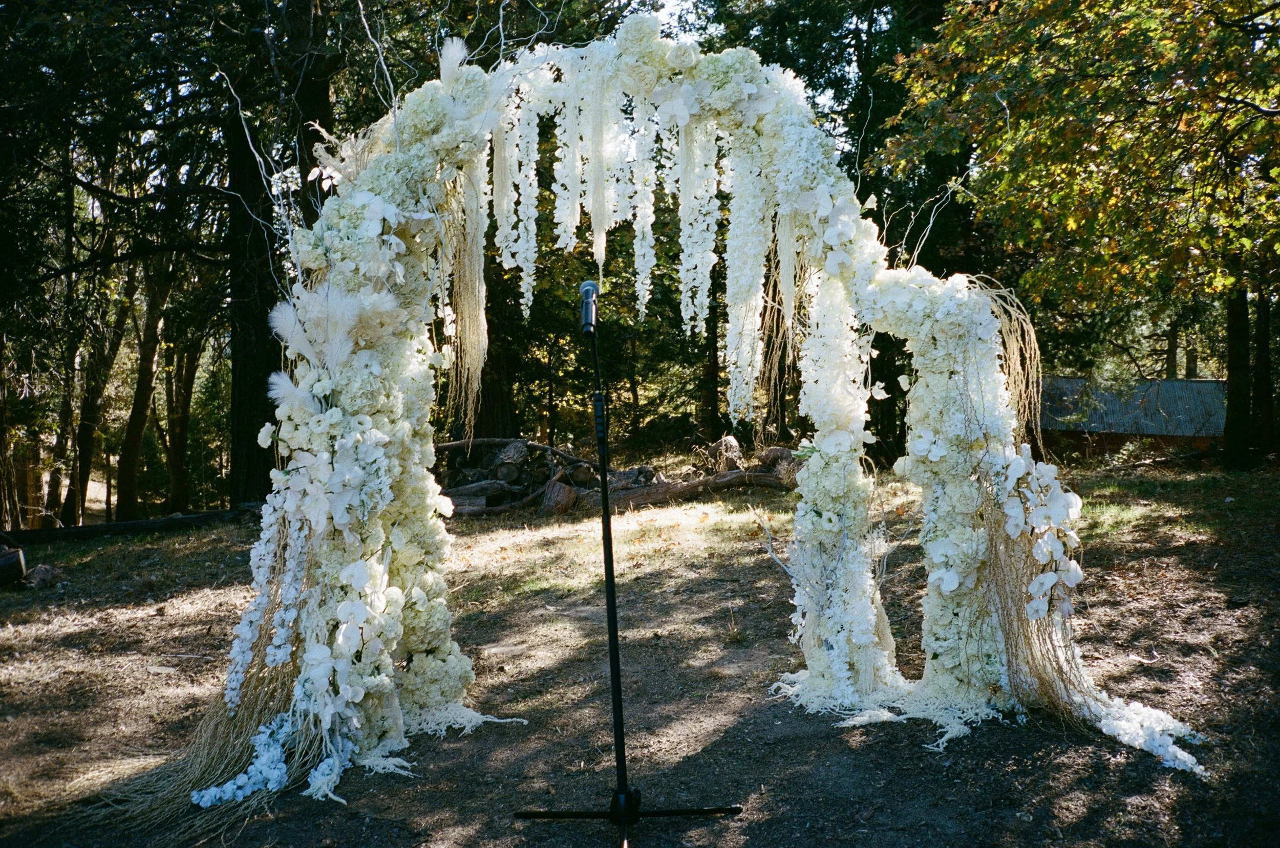 Photo Nov 02 2025, 11 18 21 AM (34).jpg